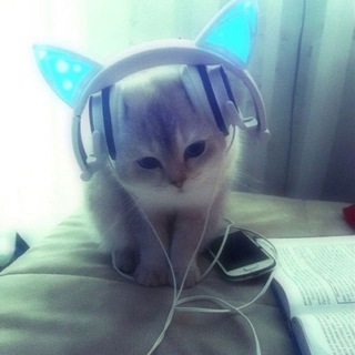 Telegram profile photo for Sirius.