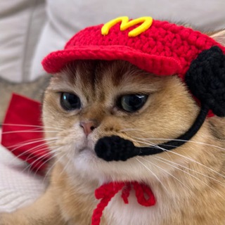 Telegram profile photo for Kitty Portal