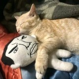 Telegram profile photo for клуб представителей общественного меньшинства