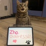 Telegram profile photo for zho.addresses🐾