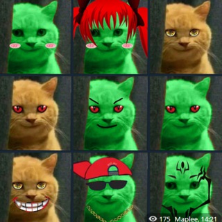 Telegram profile photo for Maple Calls