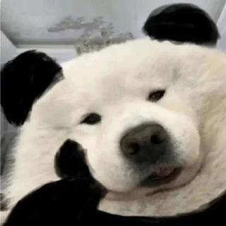 Telegram profile photo for 吃瓜摸鱼
