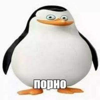 Telegram profile photo for вафлядопты комишки итд
