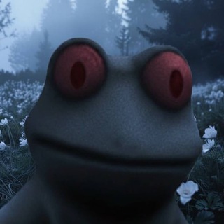 Telegram profile photo for setamadirt.