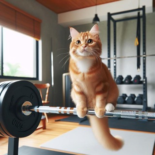Telegram profile photo for Неспортивный re:ЖИМ🏆