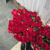 Telegram profile photo for حَميد