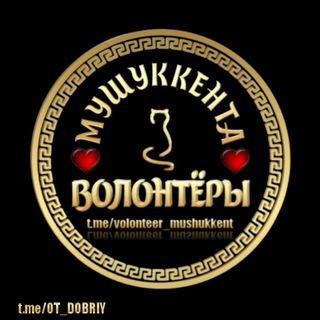 Telegram group profile photo for Волонтеры «Мушуккент» "пристроя кошек тут нет!"
