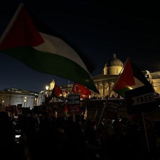 Telegram profile photo for بين الضلوع