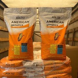 Telegram profile photo for 🌽 AMERICAN genetics ® 🌽