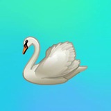 Telegram profile photo for كشخه ابيه