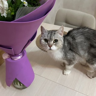 Telegram profile photo for peejpeejpeejtmc