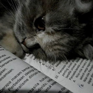 Telegram profile photo for ☁♪قــهــوهہ وࢪوايـــهہ♪☕️📖