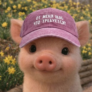 Telegram profile photo for gunina_ok🐷