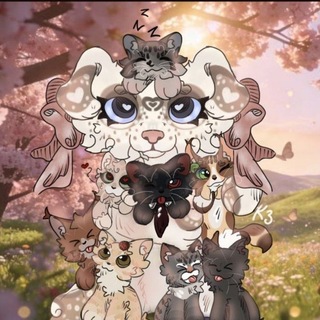 Telegram profile photo for 𝙨𝙩𝙪𝙙𝙞𝙤𝙆3