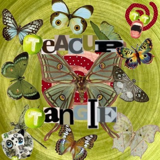 Telegram profile photo for |•°🐛Teacup Tangle🍎°•| {TT}