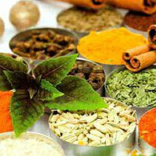Telegram profile photo for بهشت زندگی طب