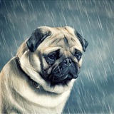 Telegram profile photo for 💧услуги/товары💦эмили🌊