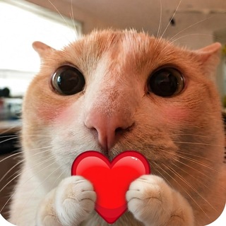 Telegram profile photo for свага