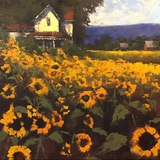 Telegram profile photo for ๐๐ฑ๐ช๐ท๐ท๐ฎ๐ต ๐ซ๐ โช๐๐๐ ๐๐ฉ๐ข๐๐๐ซ ๐๐ข๐ฅ๐ฒใก