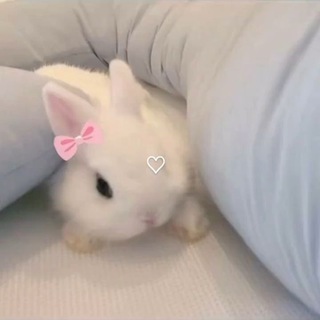 Telegram profile photo for утютю