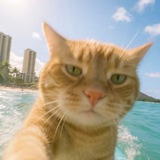 Telegram profile photo for kojo