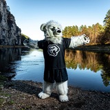 Telegram profile photo for 300 Тракторист