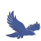 Telegram profile photo for Пилигрим