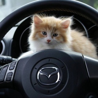 Telegram profile photo for mazdaВОДЫ