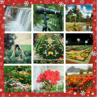 Telegram profile photo for محلات هلندایران