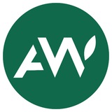 Telegram profile photo for Amber Wood