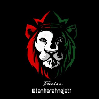 Telegram profile photo for تنها راه نجات