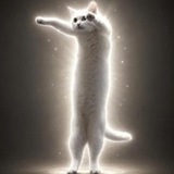 Telegram profile photo for longycatportal