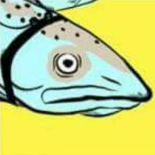 Telegram profile photo for CSA 3peces3