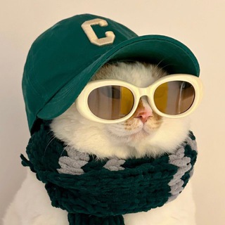 Telegram profile photo for Шмотки выгодно
