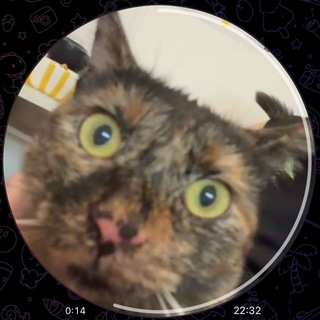 Telegram profile photo for Мем-авангард
