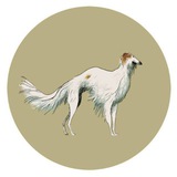 Telegram profile photo for Отзывы
