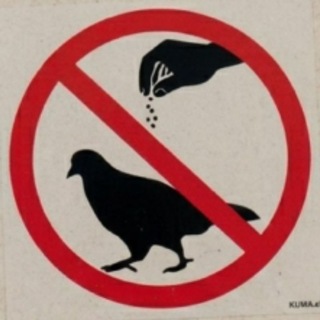 Telegram profile photo for Se tem placa, tem história
