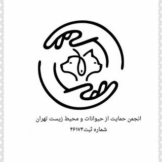 Telegram profile photo for @Human Nature Wildlife(انسان طبیعت حیات وحش)