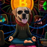 Telegram profile photo for RikMax Crypto