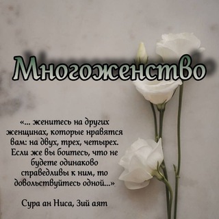 Telegram profile photo for ・︎・︎ Многоженство ・︎・︎