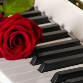 Telegram profile photo for Вокал🎙️фортепиано 🎹 🎼Бар Черногория