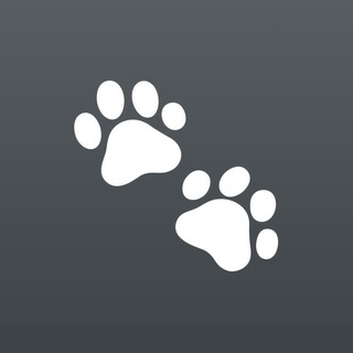 Telegram profile photo for Doll