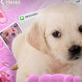 Telegram profile photo for апатия архив