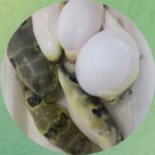 Telegram profile photo for 酒店偷拍监控大学城偷窥家庭免费直播