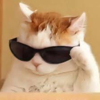 Telegram profile photo for картинки-картиночки