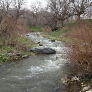 Telegram profile photo for روستای زیبای کندر