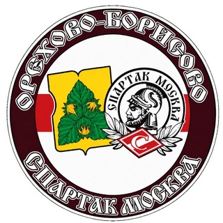 Telegram profile photo for Орехово-Борисово за Спартак