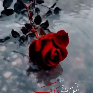 Telegram profile photo for 🇾🇪مملكــــتي ↵²0↵₂⓪⇭~المتنـــوعــه🇾🇪اللهم نصرك لغــــــزة 🇵🇸