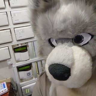 Telegram profile photo for Слаботочник