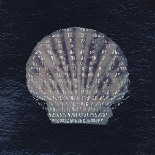Telegram profile photo for ✷ морской камень | sjjam